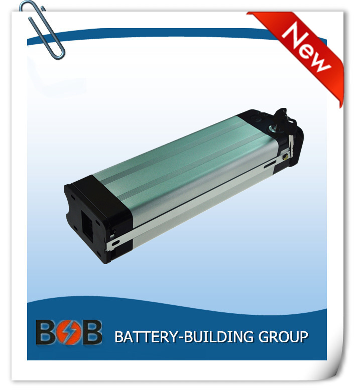 48V 10ah Silver Fish Type Lithium Battery Pack