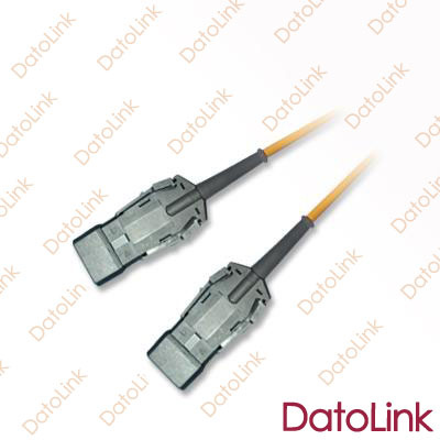 ESCON Sm Patch Cord/ Fiber Optic
