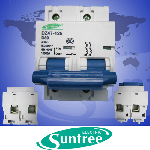 NC-100 Circuit Breaker (DZ47-125-D80) 2pole