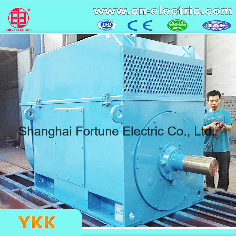 Medium/Large Size High Voltage Electric Water Pump Motor