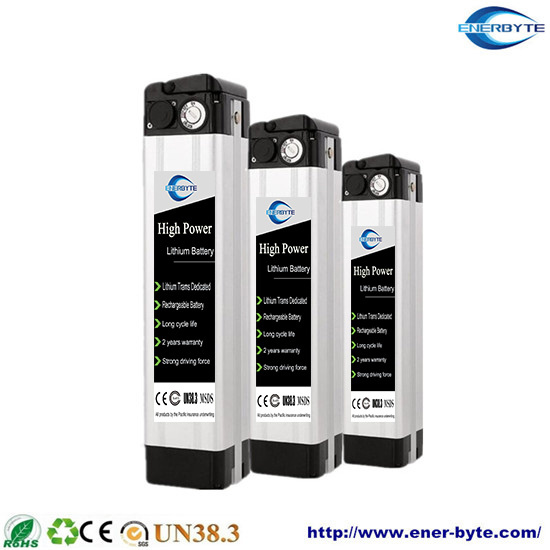 Lithium Battery Pack 48V 10ah for E-Bike