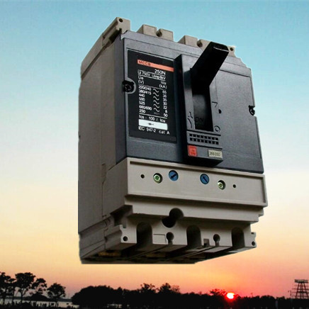 Ns (X) Current Adjustable Moulded Case Circuit Breaker (HM2-250)
