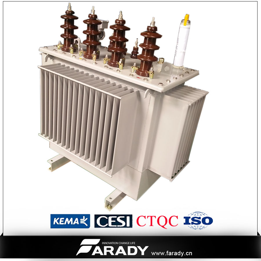 3 Phase Oil Immersed Step Down 33kv 800kw Transformer
