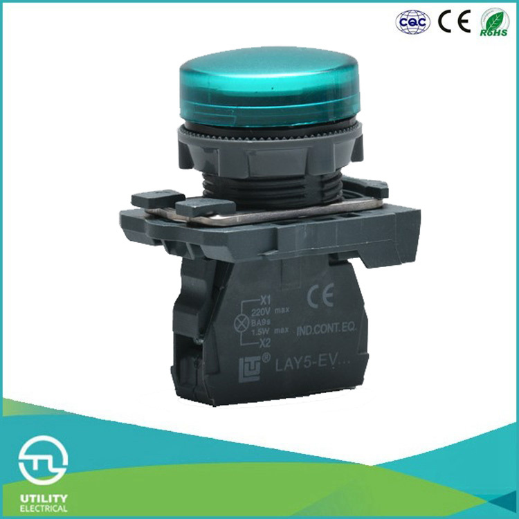 Utl Plastic Snap-Action Push-Button Switch with LED Pilot Light