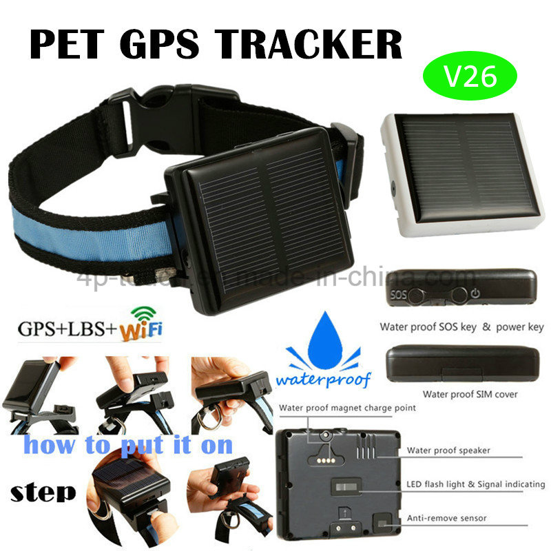 Long Standby Solar Powered Pet GPS Tracker with Waterproof V26