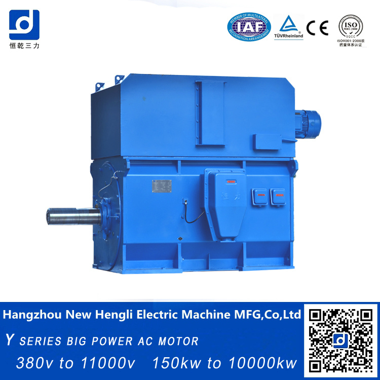 1500kw 6600V Big Power Three Phase AC Motor