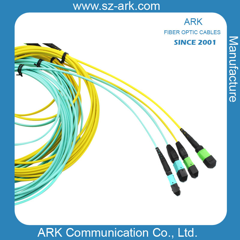 MPO Singlemode or Mutimode Fiber Optical Patchcord