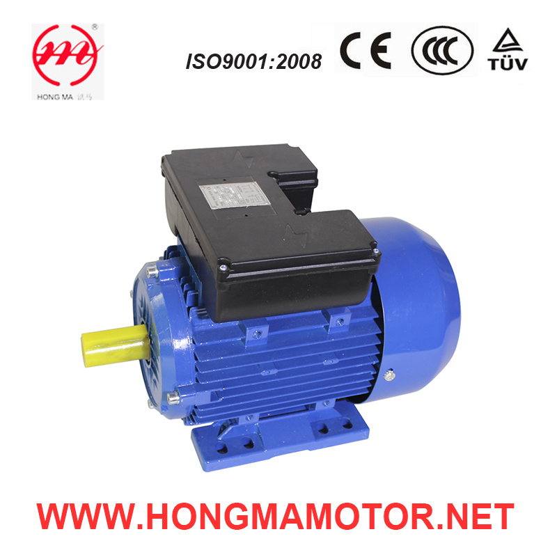 Single Phase Two Value Capacitor Induction Motor