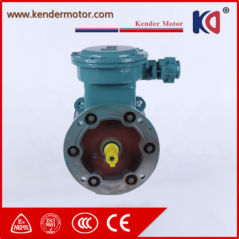 220V Yb3 Asynchronous Electric Ex-Proof Electric (Electrical) Motor for Crane