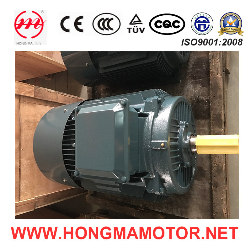 GOST Standard Three -Phase Asynchronous Motor with CE