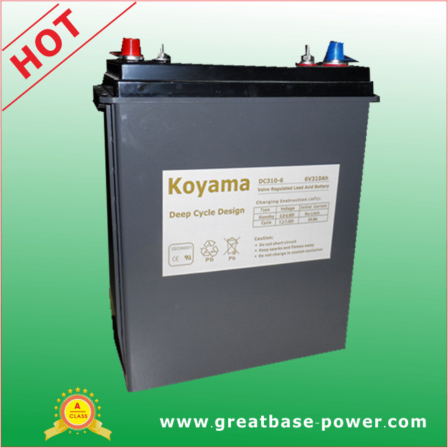 European 310ah 6V Deep Cycle Battery for