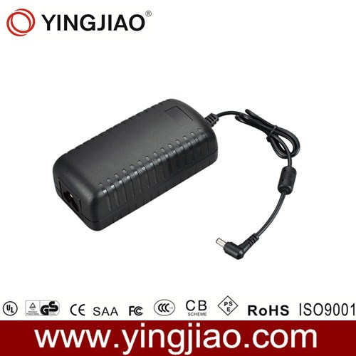 55W Max. Switch Mode Power Adapter with CE