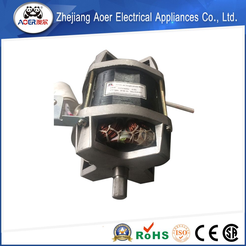 AC Single Phase Mixer Motor