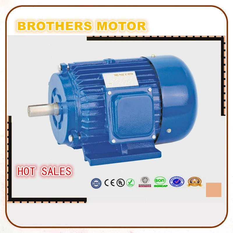 Three Phase Low Voltage AC Induction Motor 220V 50Hz 45kw