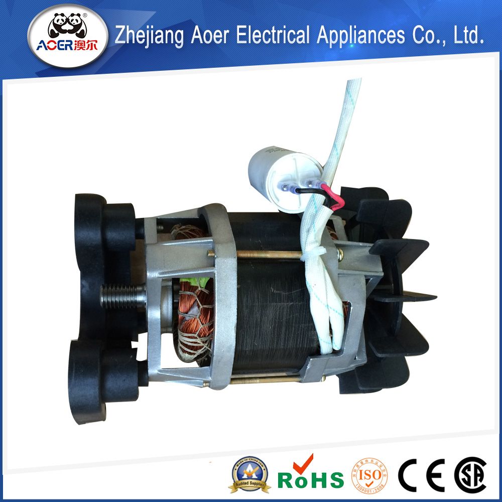 Low Speed Patented Durable in Use Mixer Motor
