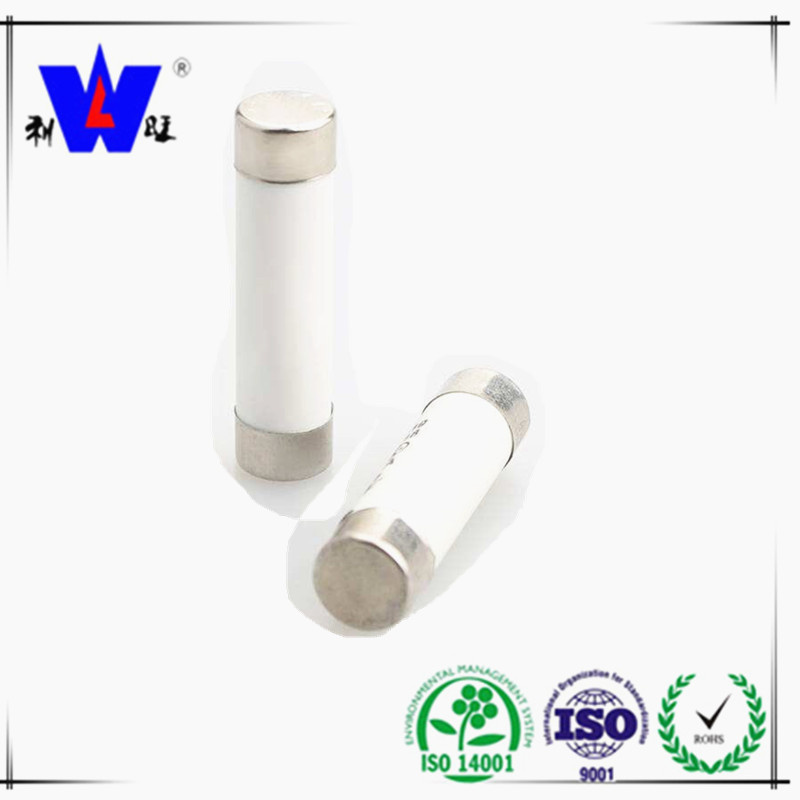 High Quality Low Voltage Resisitor Fuse