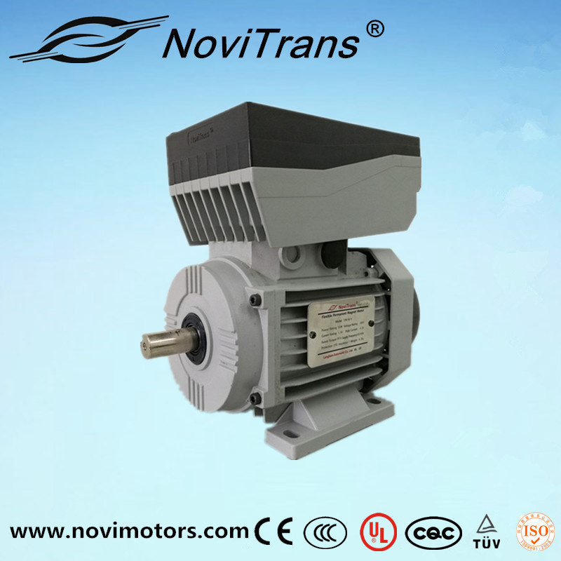 All-Purpse 750W Ie4 AC Permanent-Magnet Servo Motor