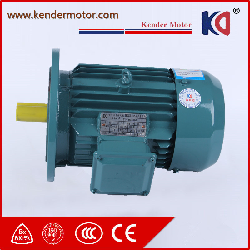 Three Phase Induction AC Electric (Electrical) Motor