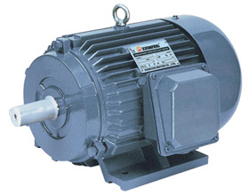 Industry Motor (Y Series Three Phase Induction Motor )