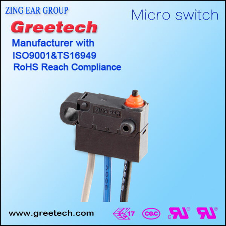 Waterproof IP67 Micro Switch for Car