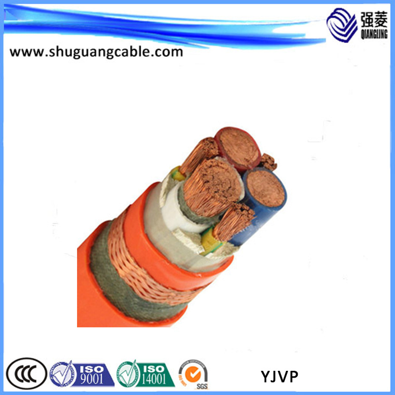Yjvp 2 Cores XLPE Insulated PVC Sheathed Shield Power Cable