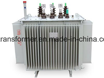 Oil-Immersed Power Transformer