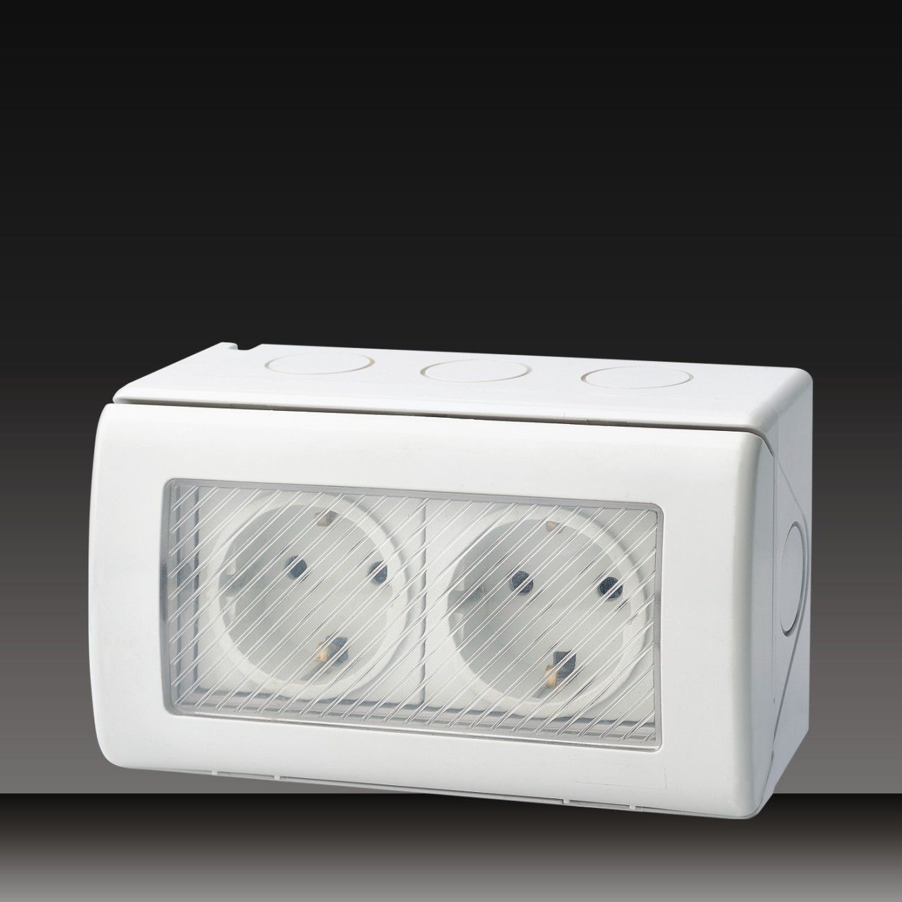 16A 250V Waterproof 2 Socket (LGL-SRR)