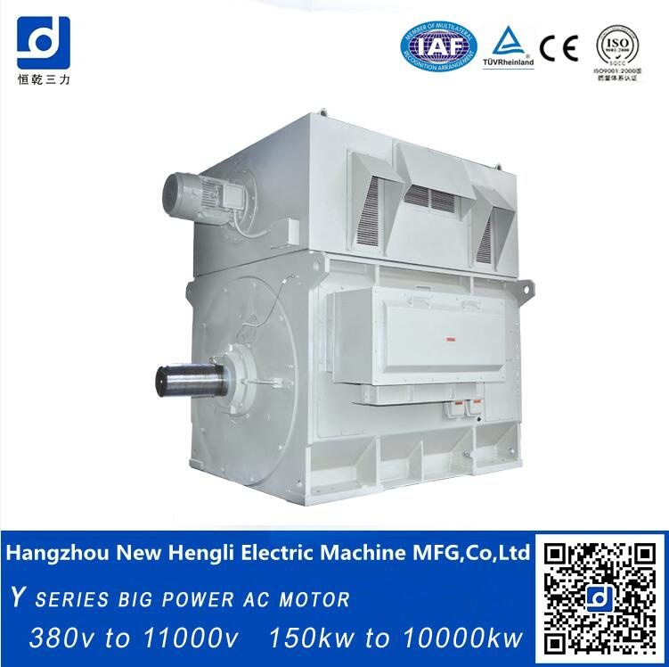 Compact Structure High Induction Electric Motor 3000kw