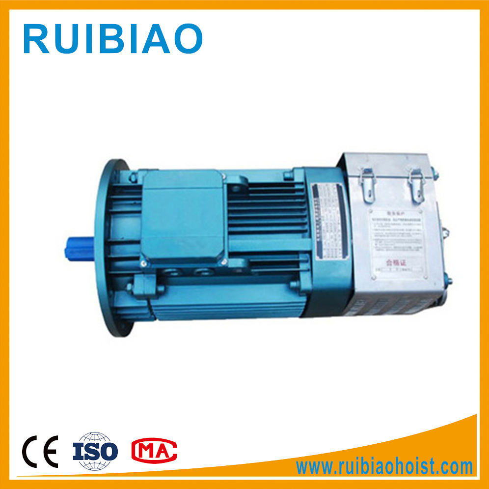Electrical Motor, Torque Motor, Crane Motor