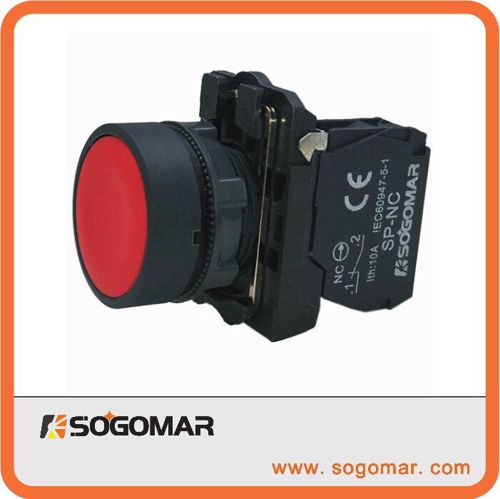 Flush Momentary Push Button Switches Sp-5AA31