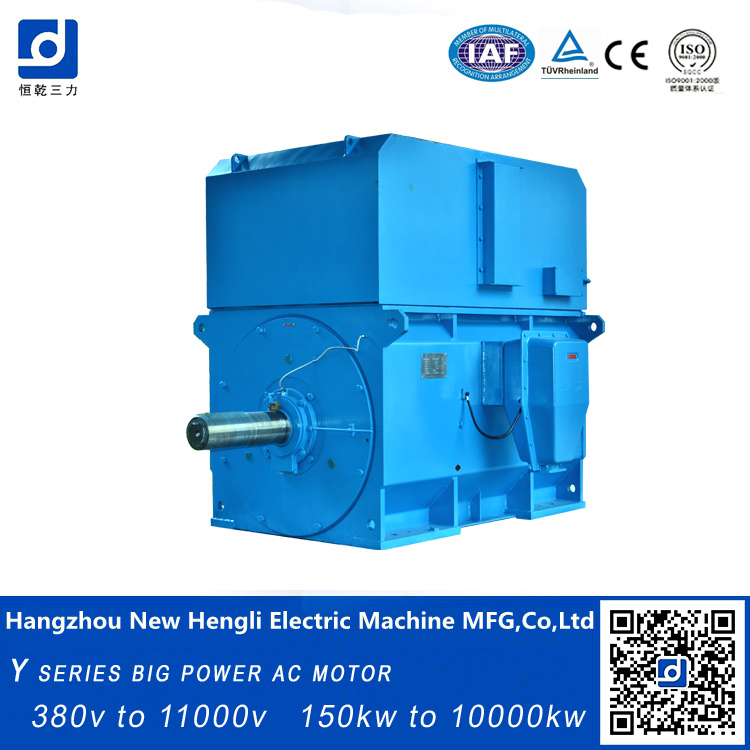 1000kw 6000V High Torque AC Electric Motor