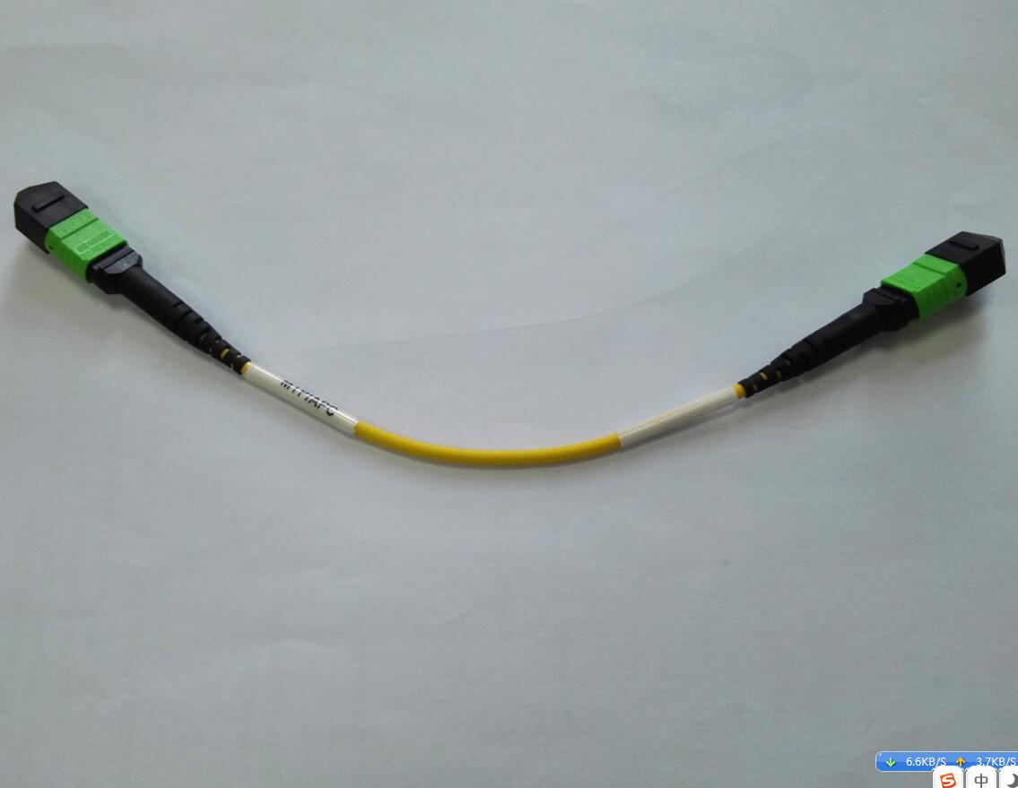 MPO-MPO 12cores Fiber Optic Patchcord