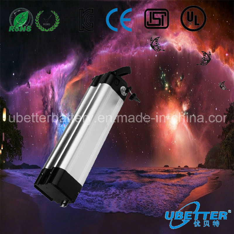 Deep Cycle 48V 20ah LiFePO4 Battery Packs for Telecom Communication