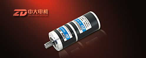 24V 25 W Gear Motor