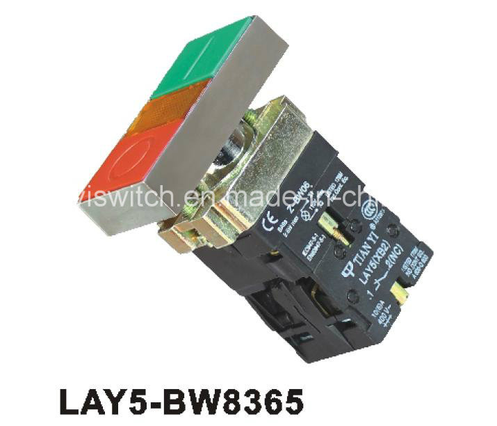 Double Pliot Light Direct Supply Push Button Switch