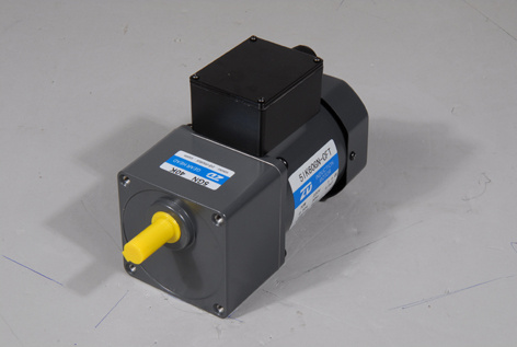 AC Induction Gear Motor 60W