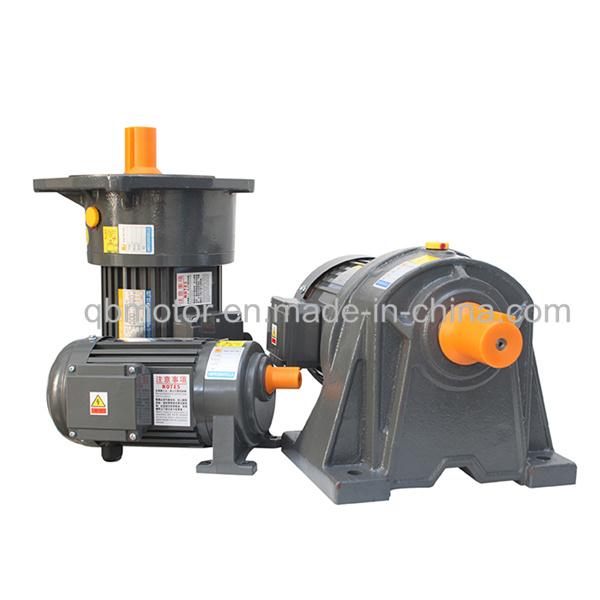 Light Duty Glw28-80b5 Small Speed Reducer AC Geared Gear Motor