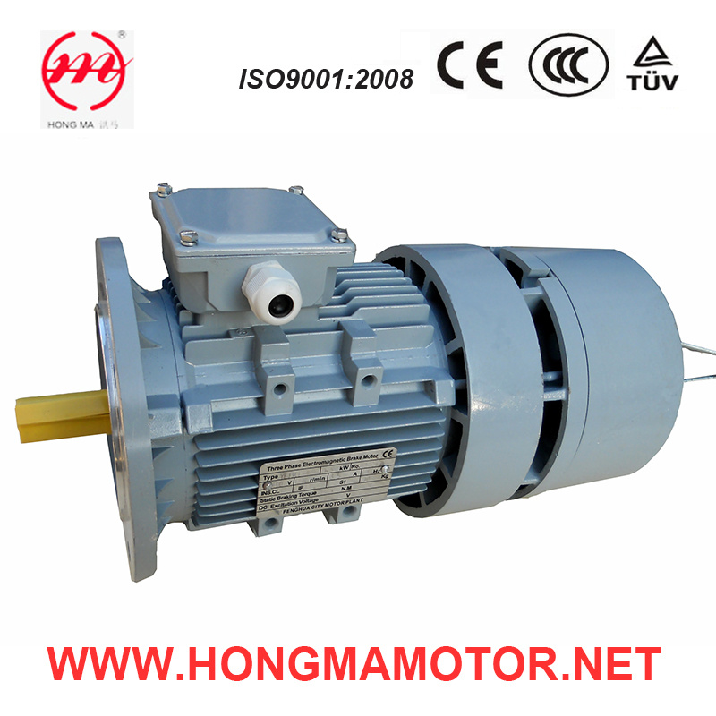 Aluminum AC Closed Type Self-Braking Asynchronous Induction Motor (90S-6-0.75kw)
