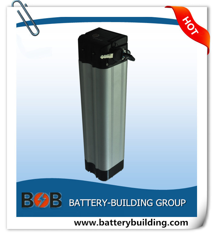 24V 15ah LiFePO4 Battery Pack Silver Fish Type