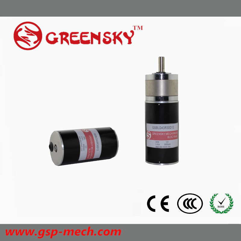 GS 36V 80W 60mm Planetary Brushless DC Motor