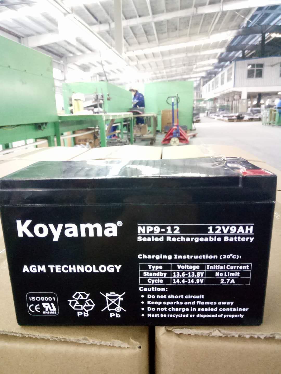 Np9-12 12V 9ah UPS Storage AGM Battery