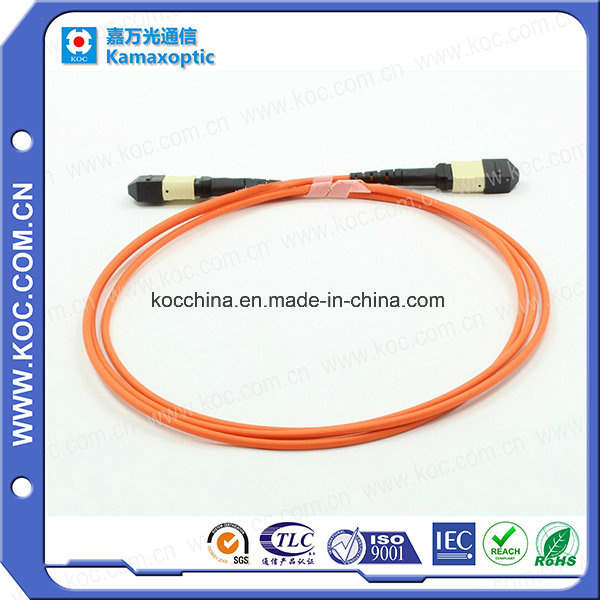 MPO-MPO 12cores Fiber Optic Patch-Cord