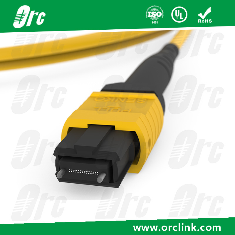 8f/12f/24f MPO-MPO Patchcord Jumper Optical Fiber Connector Sm Ofnp Lowloss 15 Meters