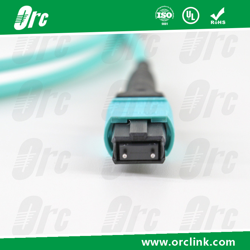 8f/12f/24f MPO/MTP Patchcord Jumper Optical Fiber Connector Om3 PVC 5 Meters