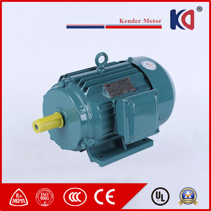 Three Phase AC Induction Electric (Electrical) Motor