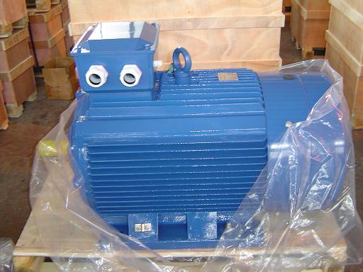 General Purpose Three Phase Induction Motor (GOST Standard)