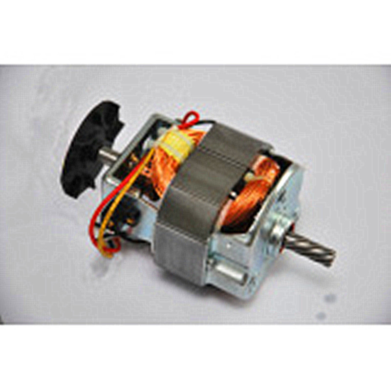 AC Universal Motor for Meat Grinder Single Phase Waterproof