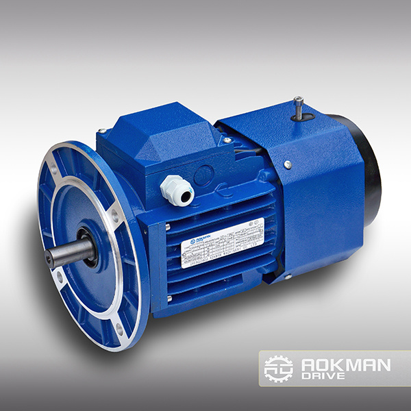 High-Quality AC Motor with Brake