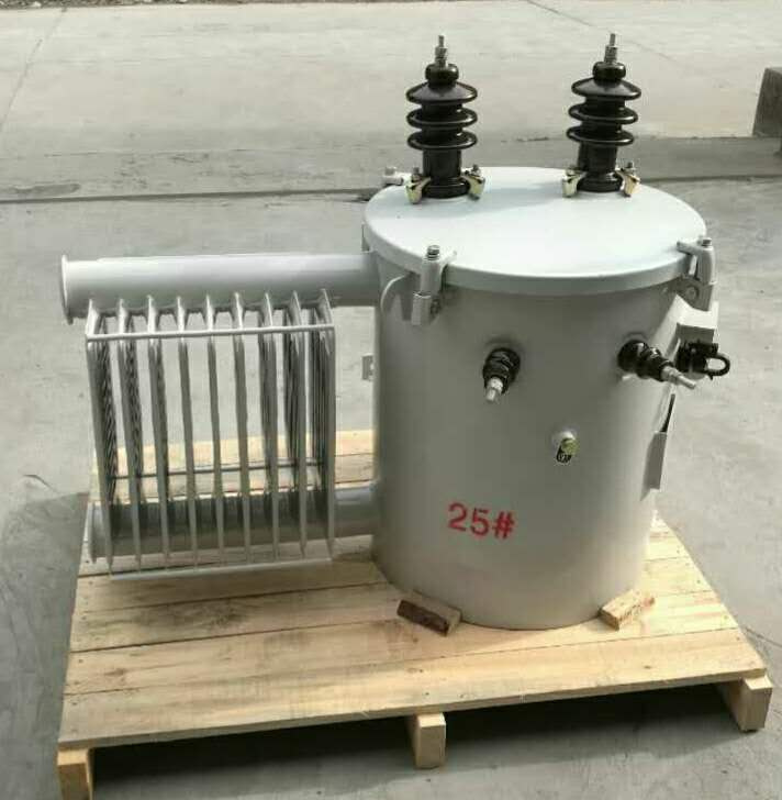 13.8kv Single Phase Oil-Immersed Distribution Transformer