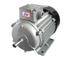 Ie2 Ys (AO2) Series Three-Phase Induction Motor